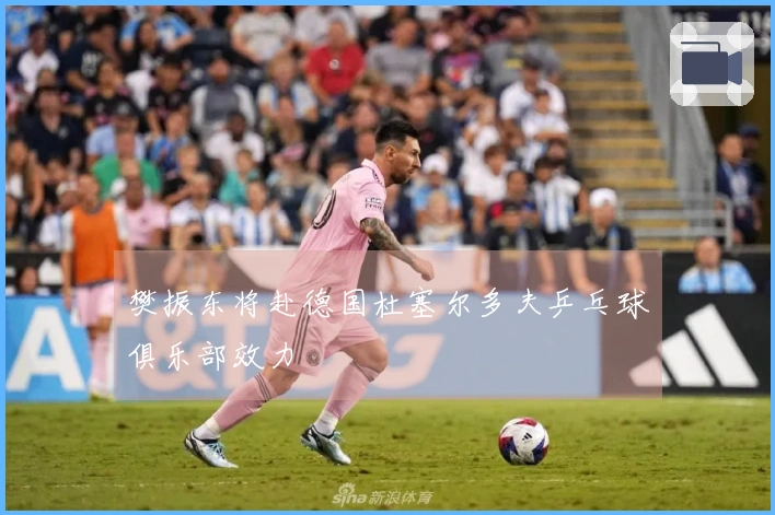 樊振东将赴德国杜塞尔多夫乒乓球俱乐部效力